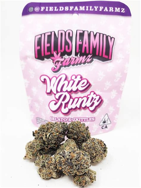 white runtz bags fake|white runtz strain.